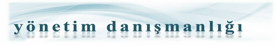 yapısal yönetim danışmanlığı